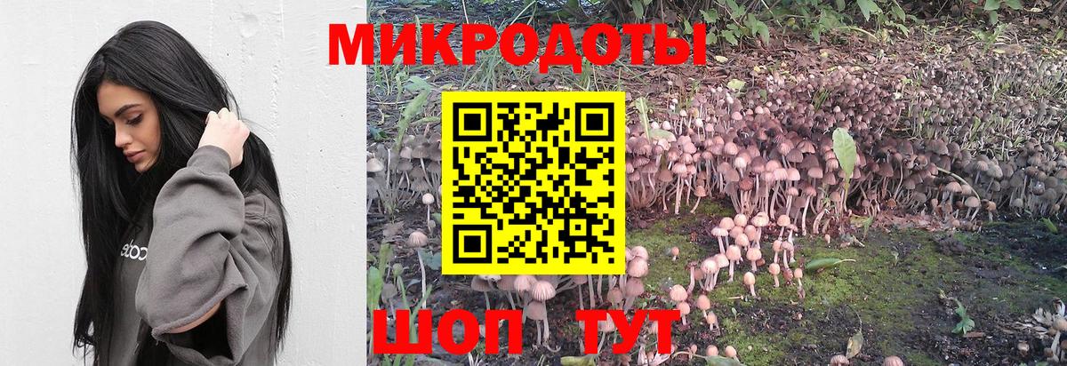 Псилоцибиновые грибы GOLDEN TEACHER  Вход с VPN  Валуйки  Галлюциногенные грибы Magic Shrooms 